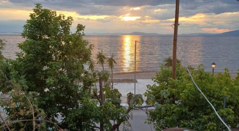 foto10