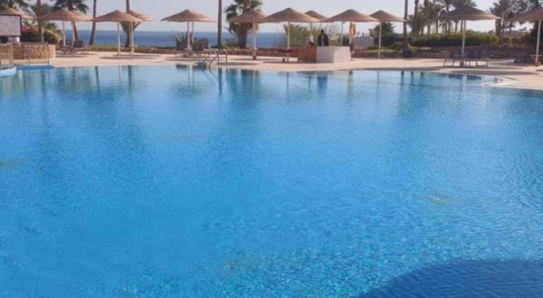 Beautiful rental apartment with pool | Close to the beach | Pets are welcome — photo 3