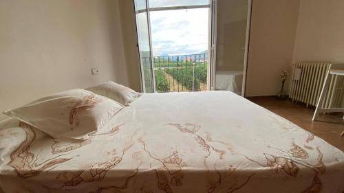 Bed & Breakfast Alcira