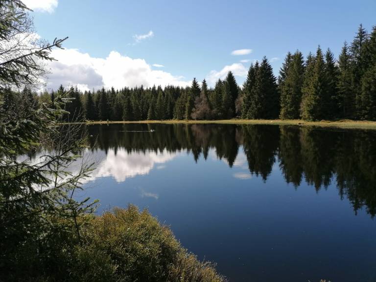 foto11