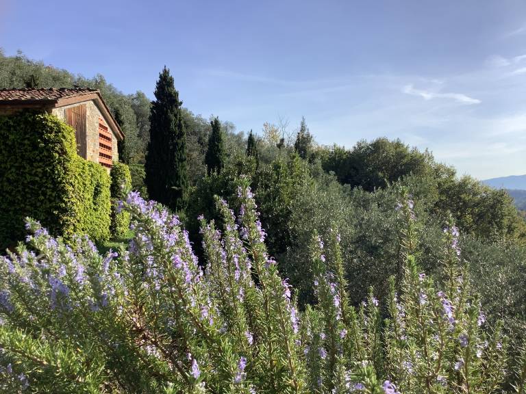 Privatzimmer in Lucca f&uuml;r max. 2 Personen