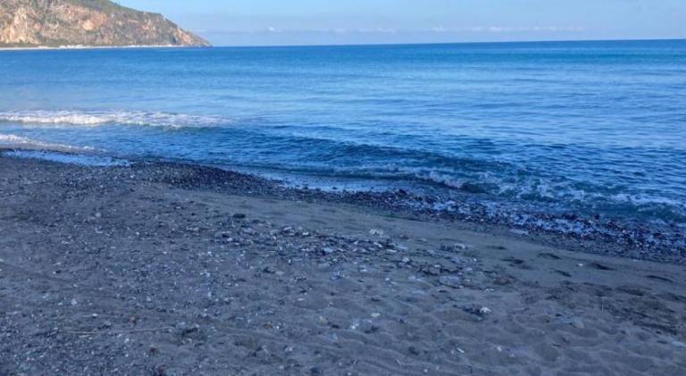 Vacation home with 1 room for 3 persons — photo 4