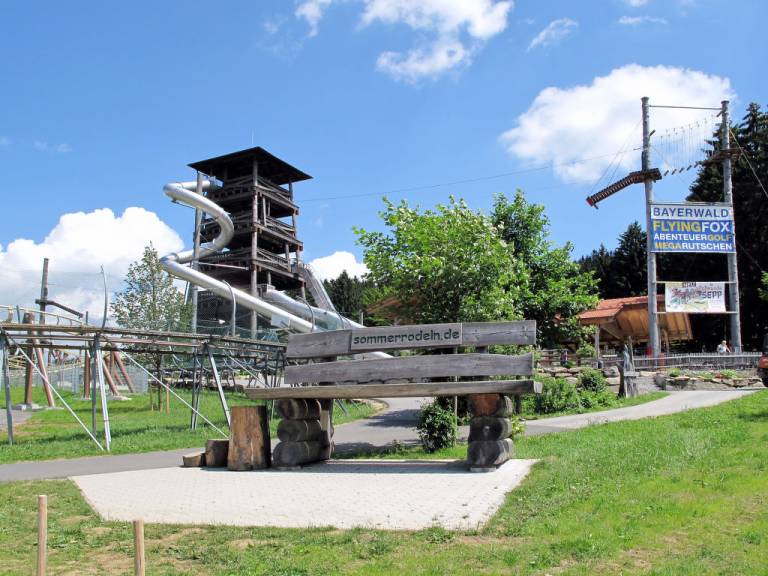 foto19