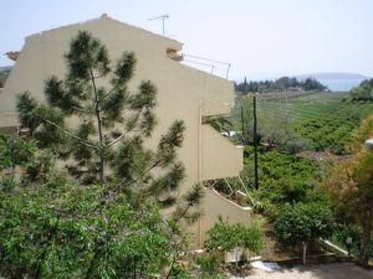 Apartment with garden — photo 3