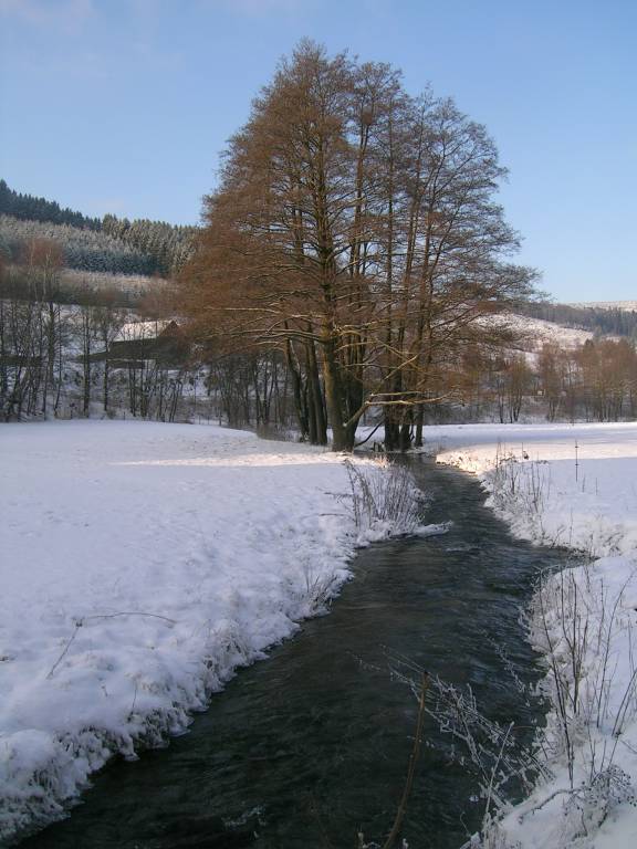 foto18
