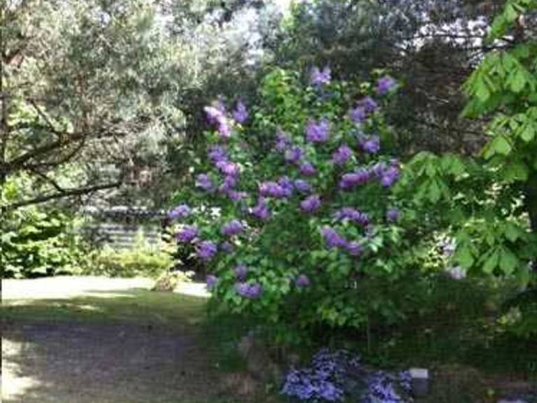 foto26