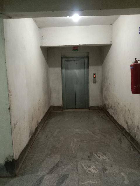 foto41