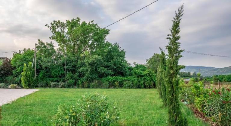 Agricampeggio Oro Verde — photo 4