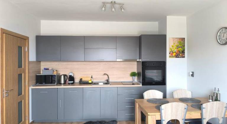 Apartment with terrace — photo 4