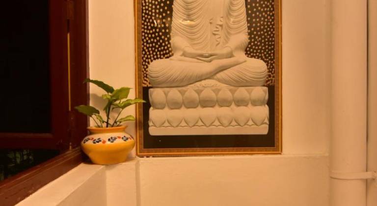 foto17