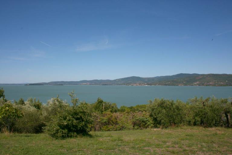 foto16