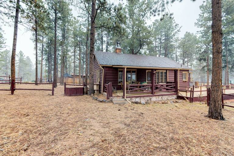 Cabin  Woodland Park