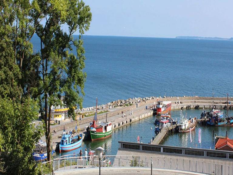 foto6
