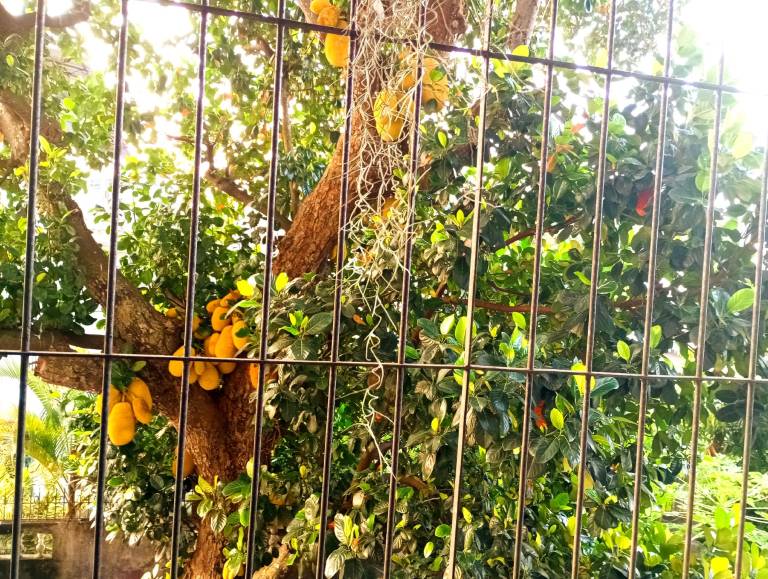 foto9