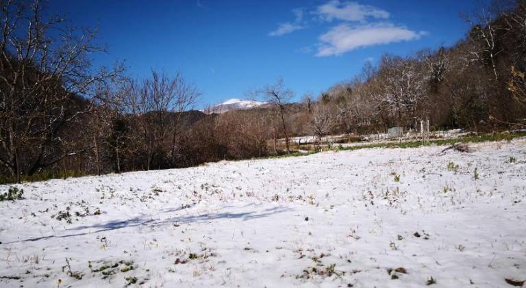 foto43