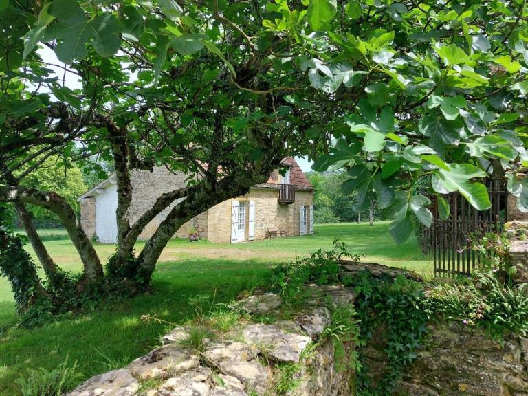 foto10