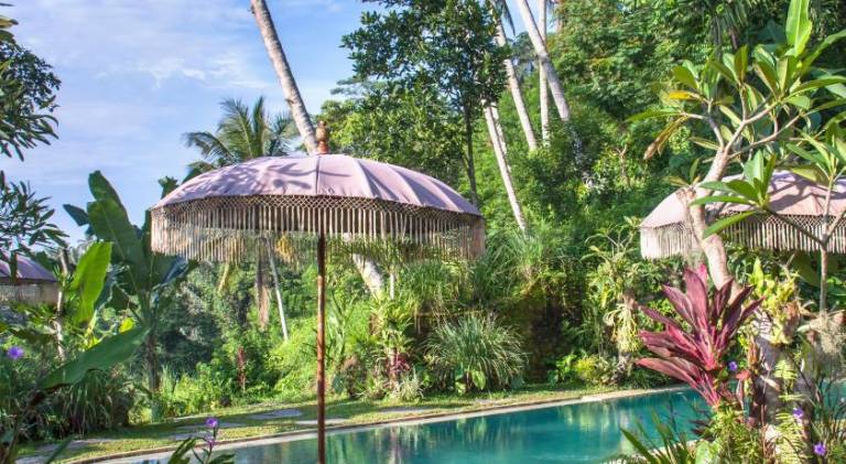 Wonderful villa with pool | Dogs allowed — photo 4