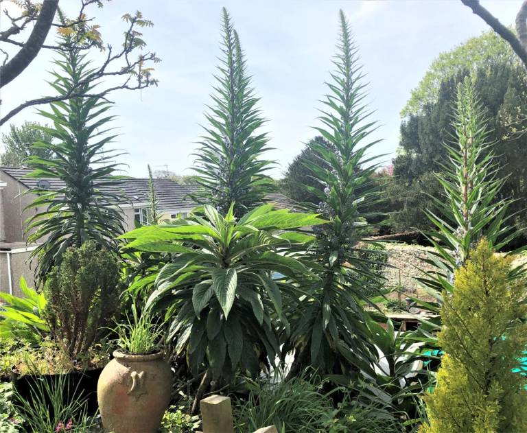 foto18