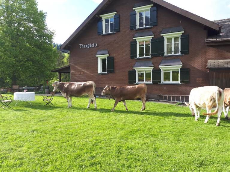 Ferienwohnung Wildhaus