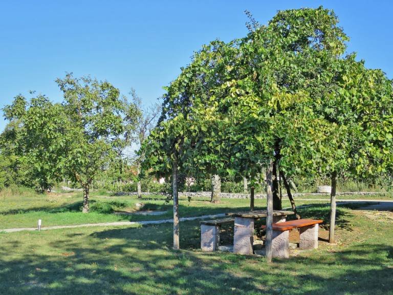 foto6
