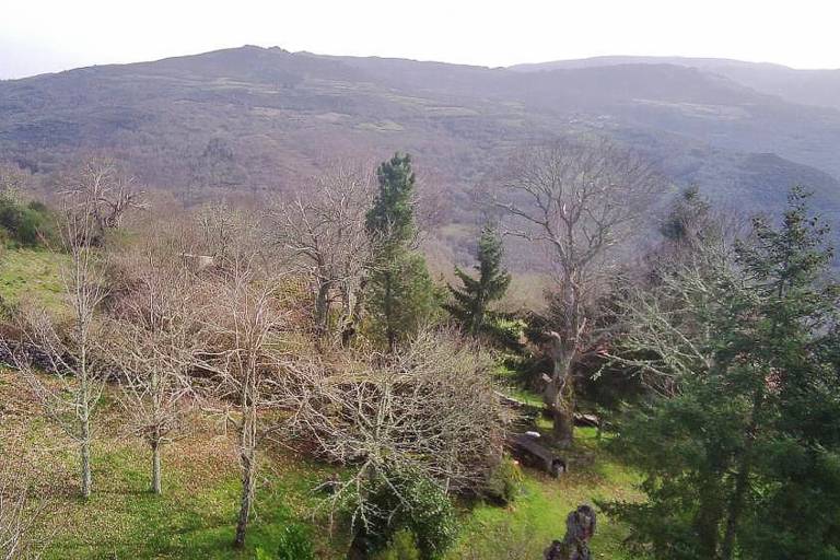 foto42