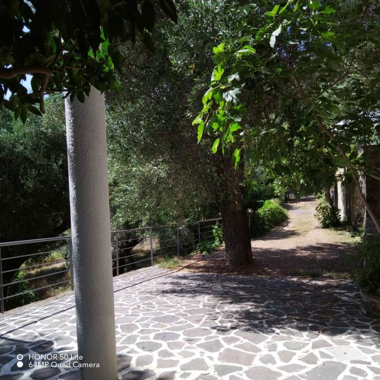 foto34