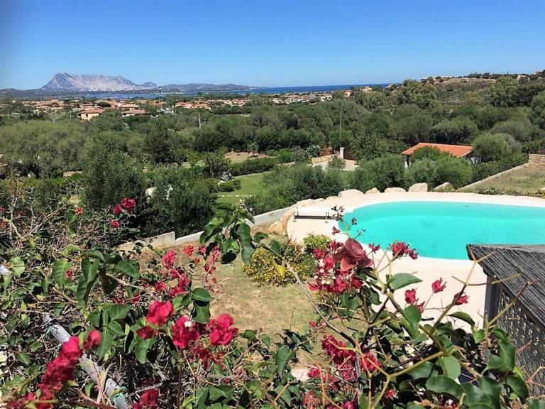 Fully equipped beautiful villa with pool, yard & barbecue | Mountain view | Pets allowed — photo 4