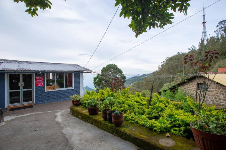 Greenlands — photo 4