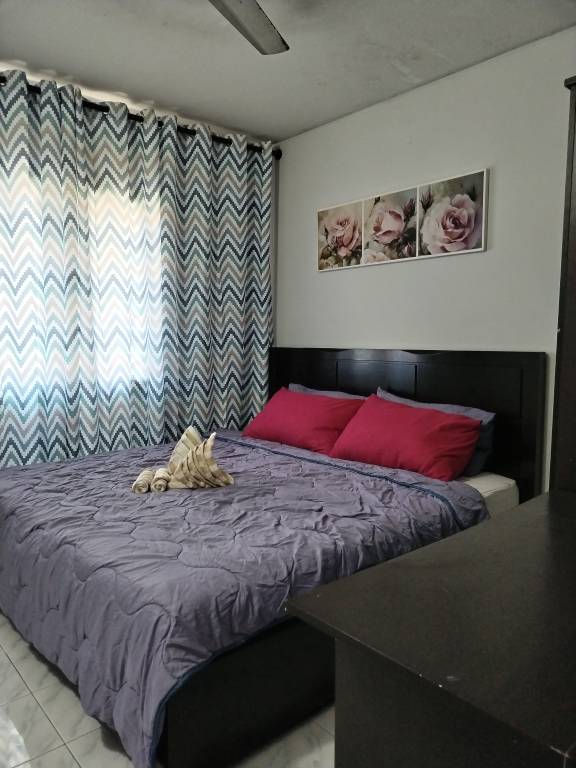 foto8