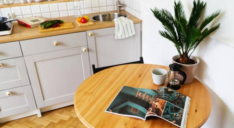 Holiday apartment | Pets are welcome — photo 3