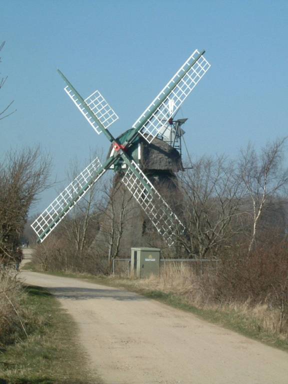 foto35