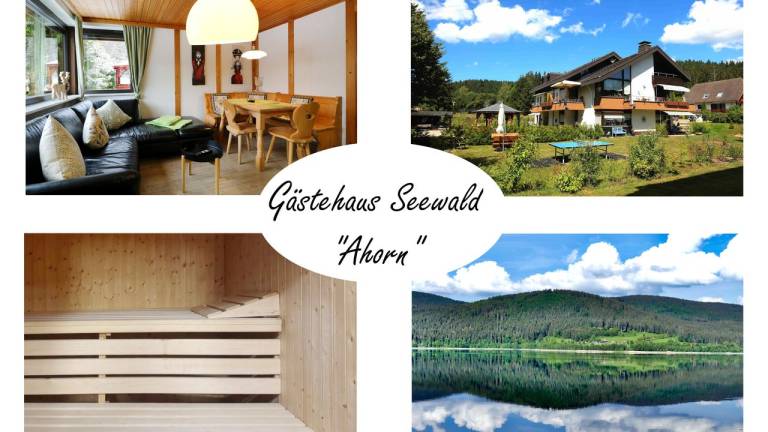 Ferienwohnung Schluchsee