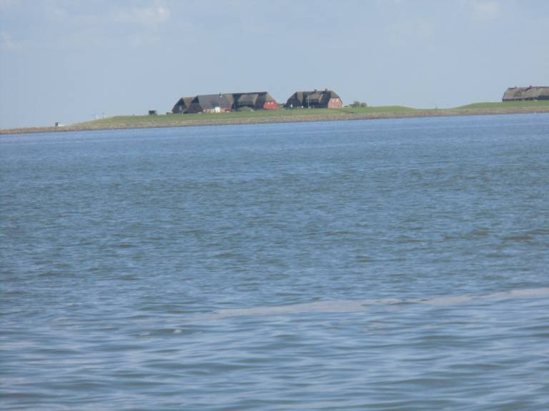 foto15