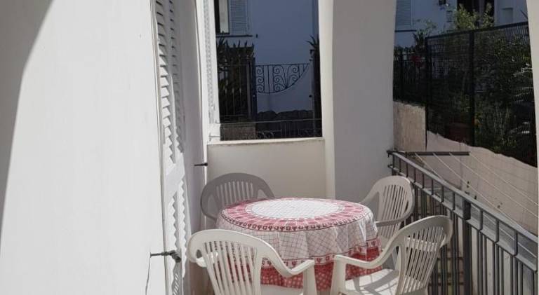 House | Dogs allowed — photo 5