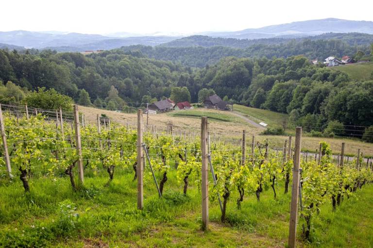 100 m² Bauernhof
