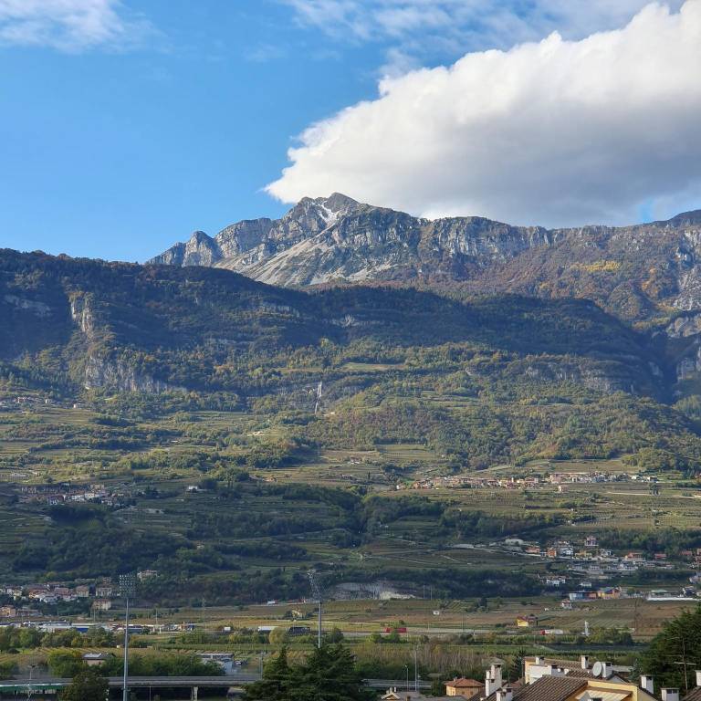Vista mozzafiato sulle Alpi — photo 5