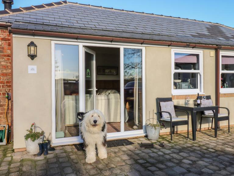 Fully equipped cottage with yard | Pets allowed — photo 2