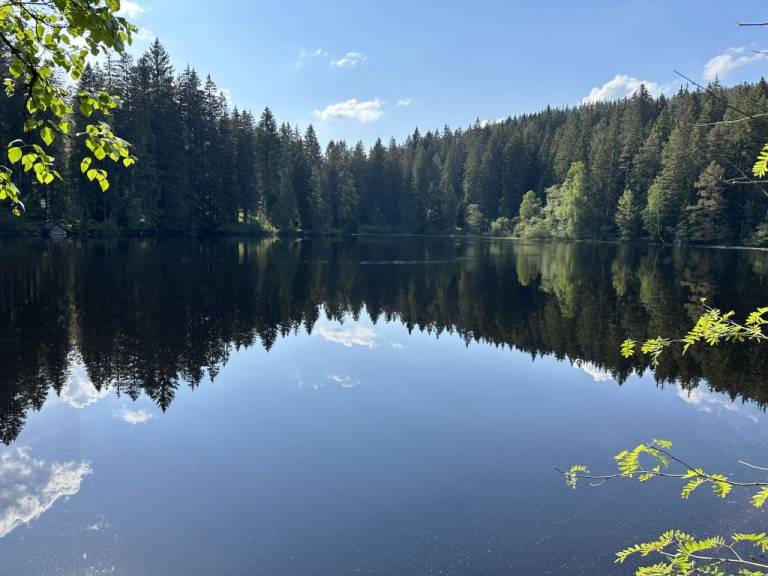 foto18