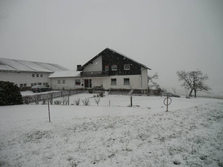 foto1