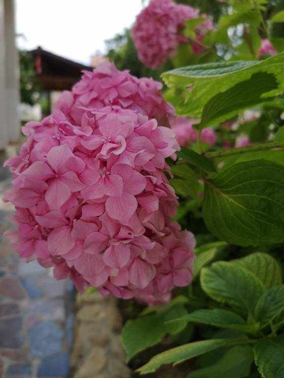 foto32