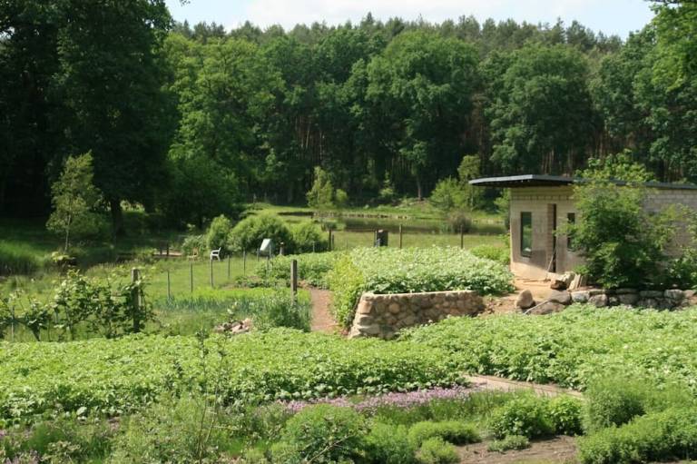 foto12