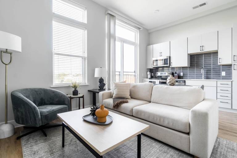 56 m² Studio