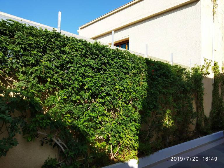 foto49