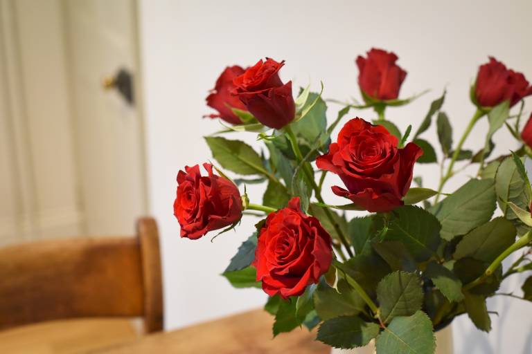 foto24