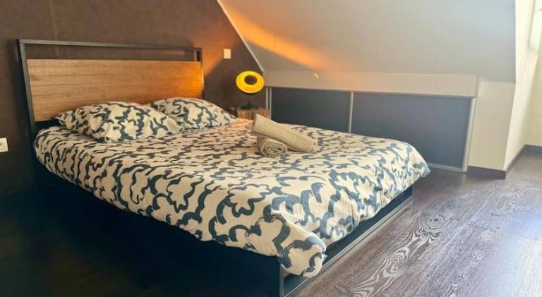 Rental apartment | Pets are welcome in Sélestat