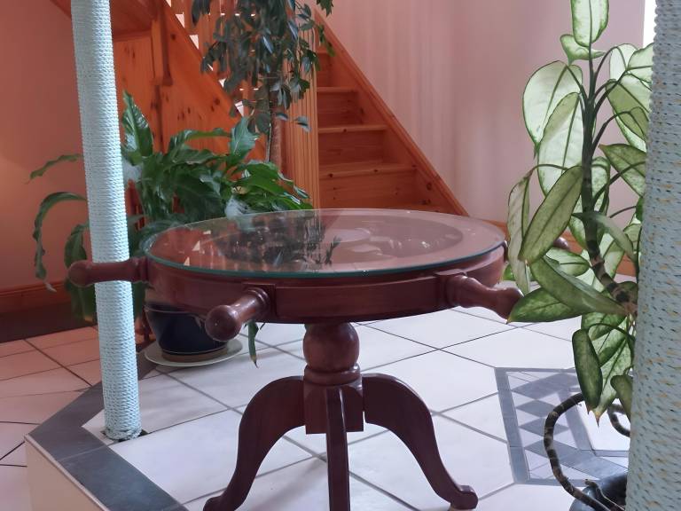 foto31