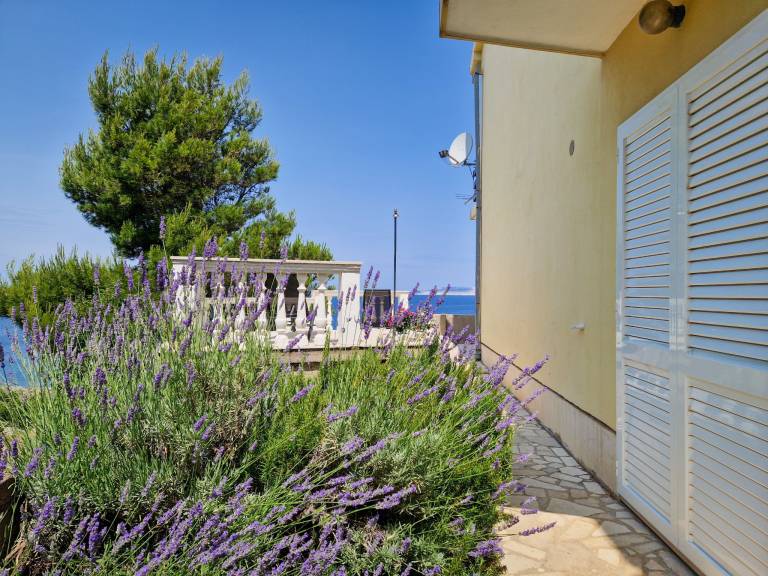 Beautiful house with patio & barbeque | Sea view | Pets allowed — photo 2