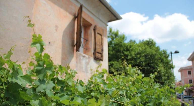 House with 1 room for 4 persons in Vicenza