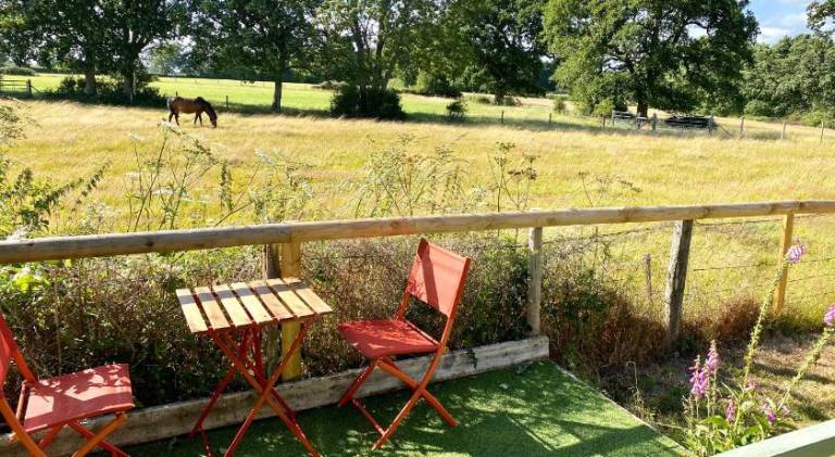 Wonderful house with garden | Pets are welcome in Lymington