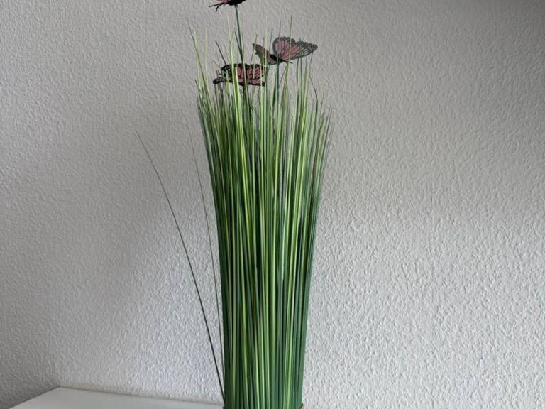 foto12
